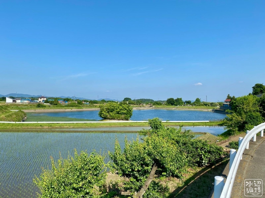 f:id:cippillo:20200609225153j:plain