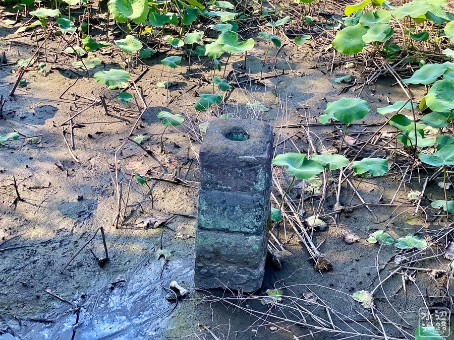 f:id:cippillo:20200609232003j:plain