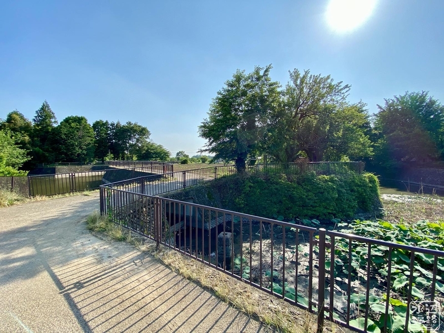 f:id:cippillo:20200609232015j:plain