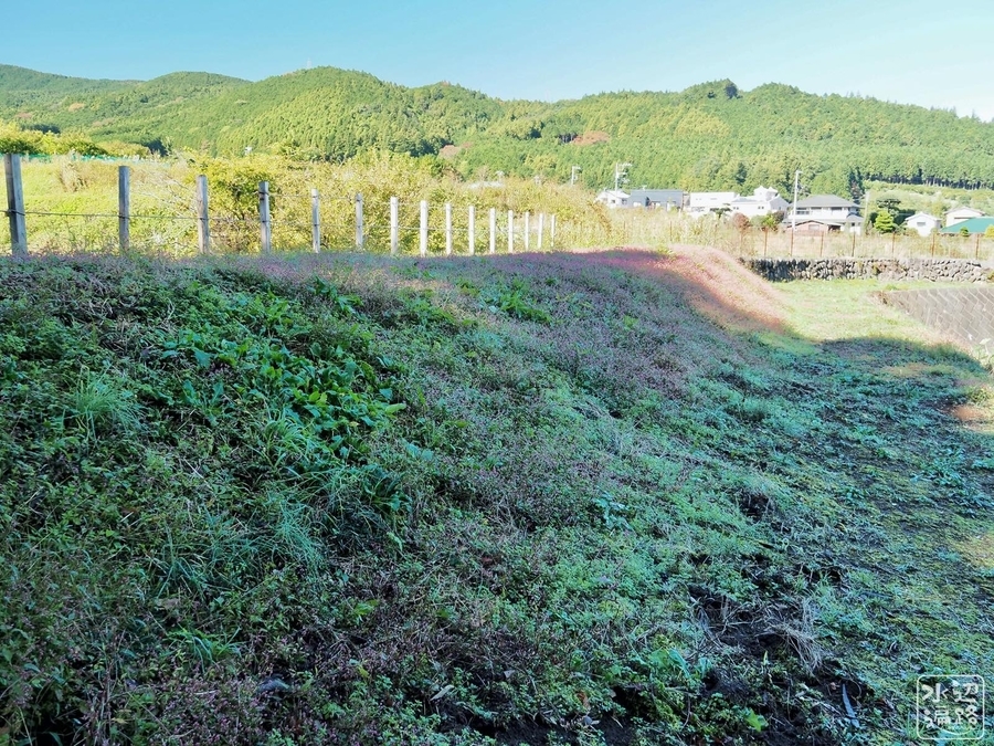 f:id:cippillo:20200611181214j:plain