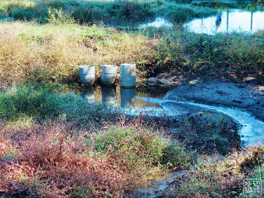 f:id:cippillo:20200611181227j:plain f:id:cippillo:20200611181227j:plain