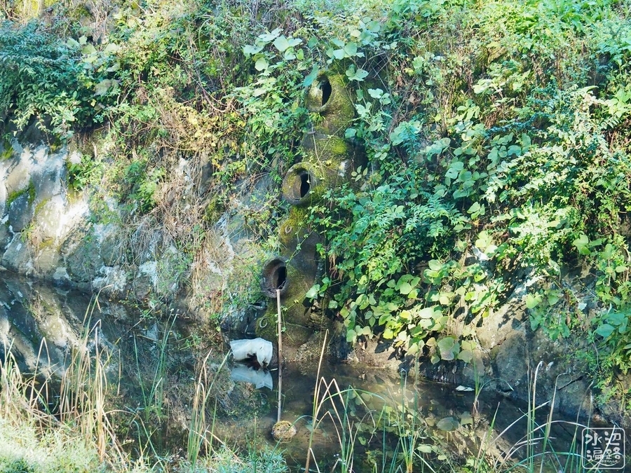 f:id:cippillo:20200611181258j:plain