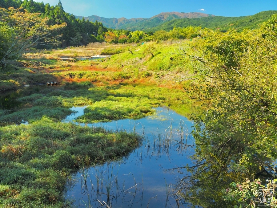 f:id:cippillo:20200611181415j:plain