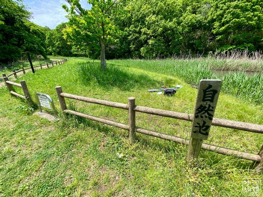 f:id:cippillo:20200612080657j:plain