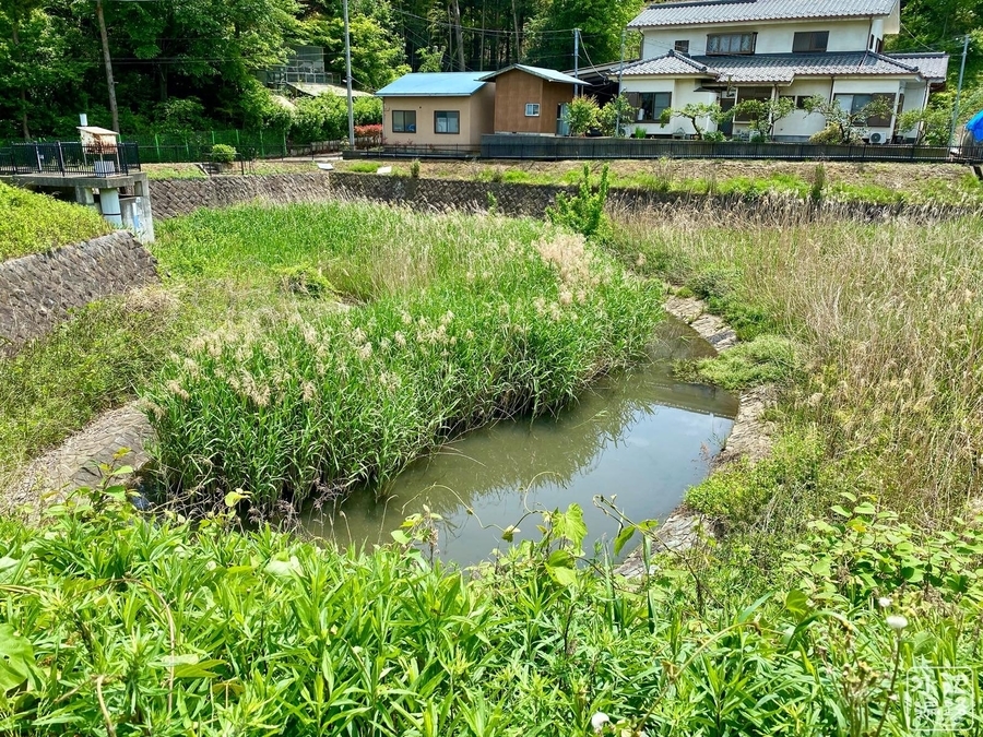水道秋聖　「千野の池」 寒池雨水調整池（神奈川県横浜） - 水辺遍路