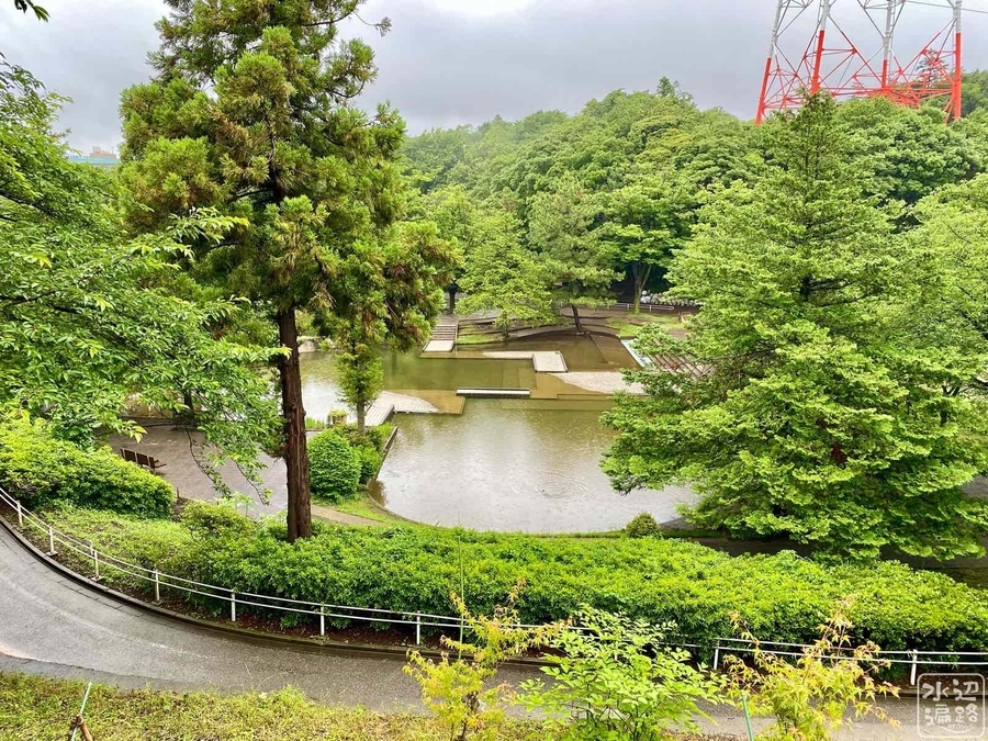 船橋市運動公園 中央池 千葉県船橋 水辺遍路