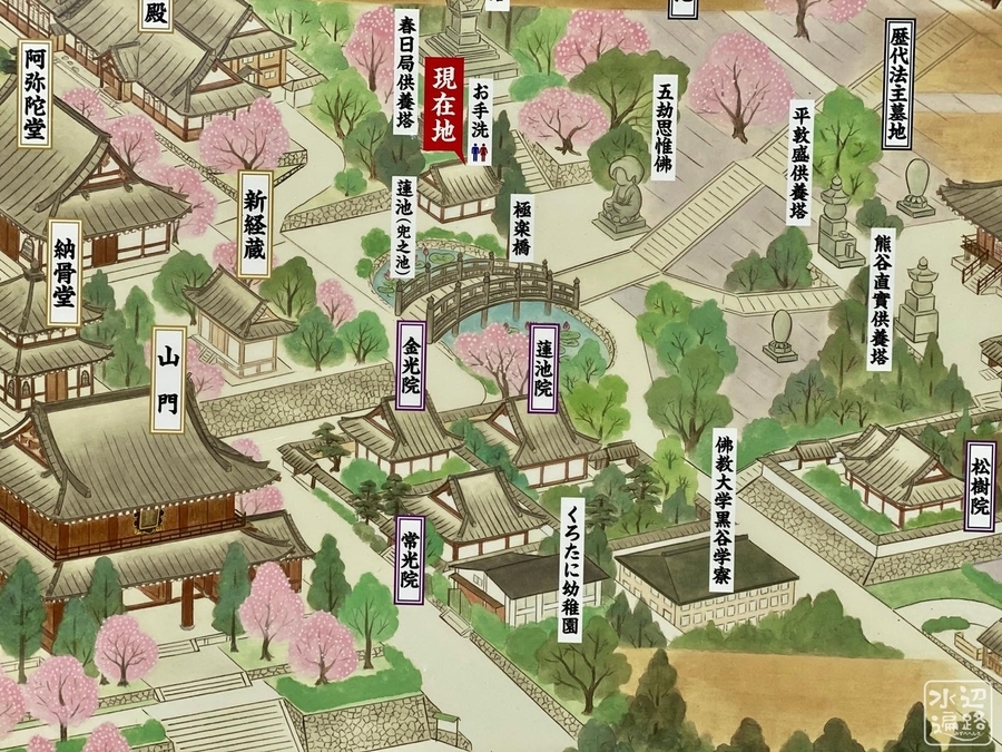 f:id:cippillo:20200619104045j:plain