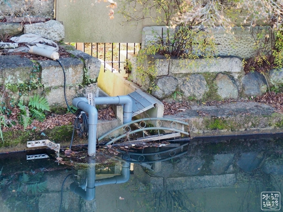 f:id:cippillo:20200619104059j:plain