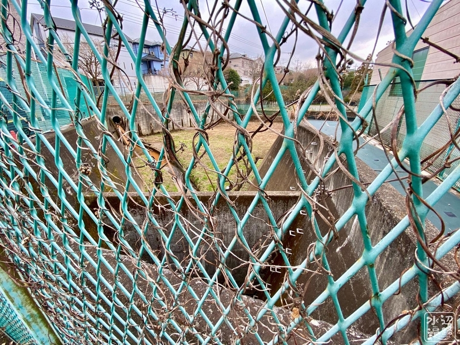 f:id:cippillo:20200623235758j:plain