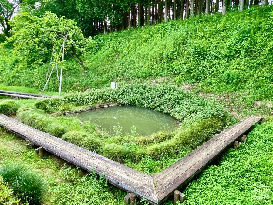 f:id:cippillo:20200626174904j:plain