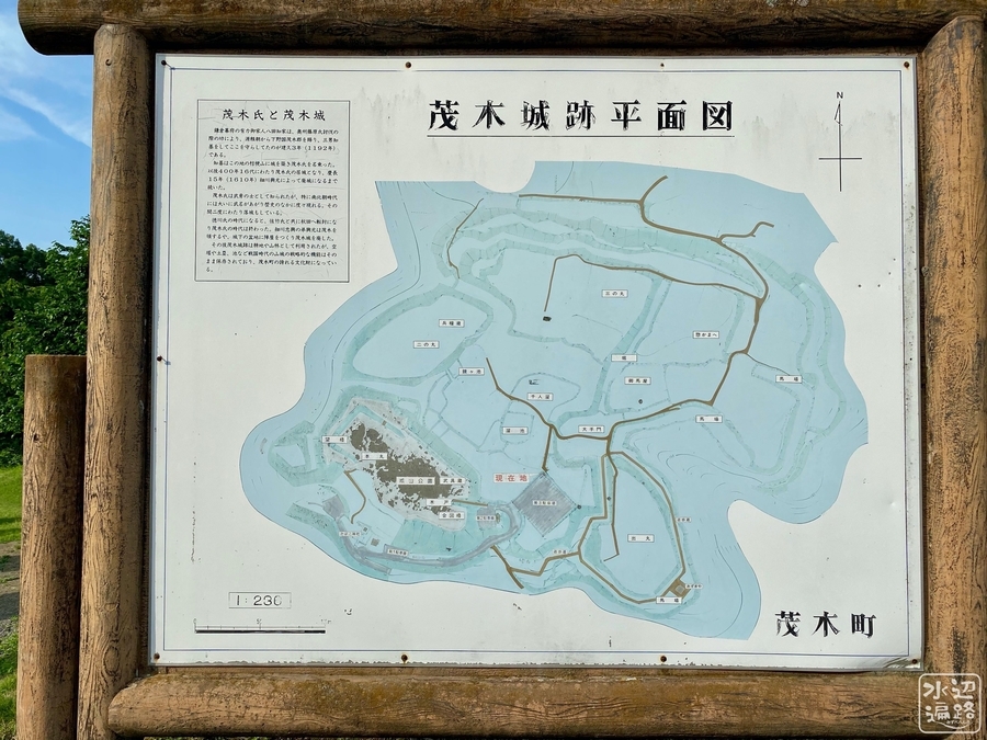 f:id:cippillo:20200626175114j:plain