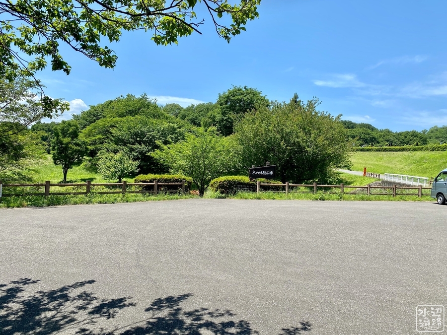 f:id:cippillo:20200629131159j:plain f:id:cippillo:20200629131159j:plain