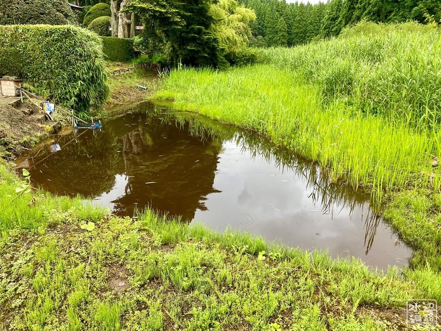 f:id:cippillo:20200724095817j:plain