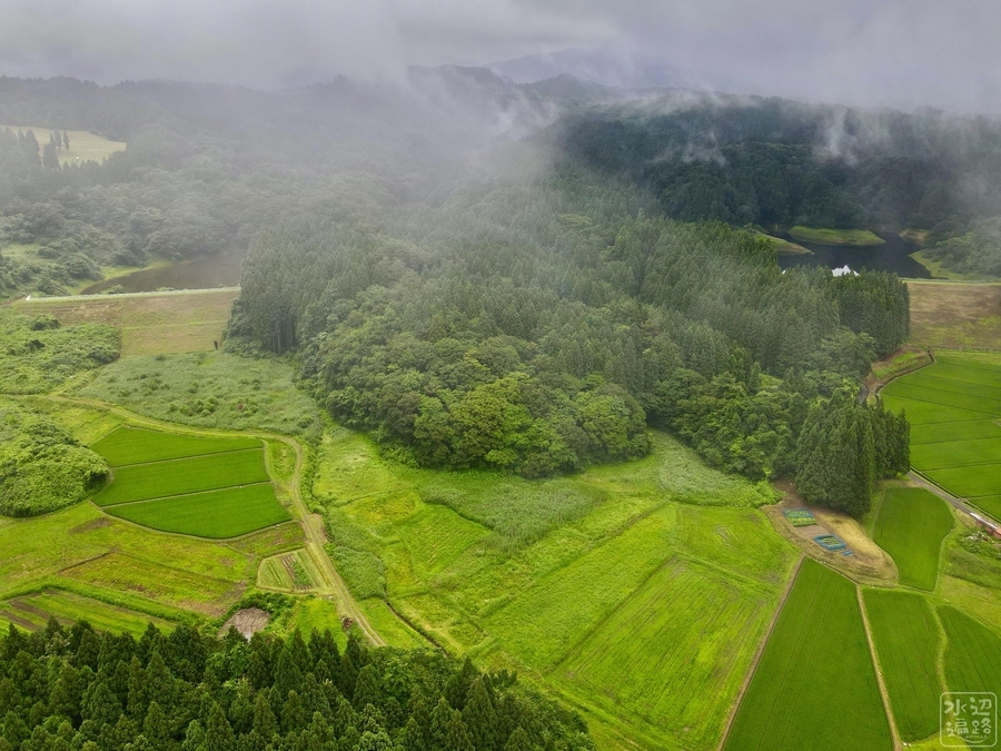 f:id:cippillo:20200724102615j:plain