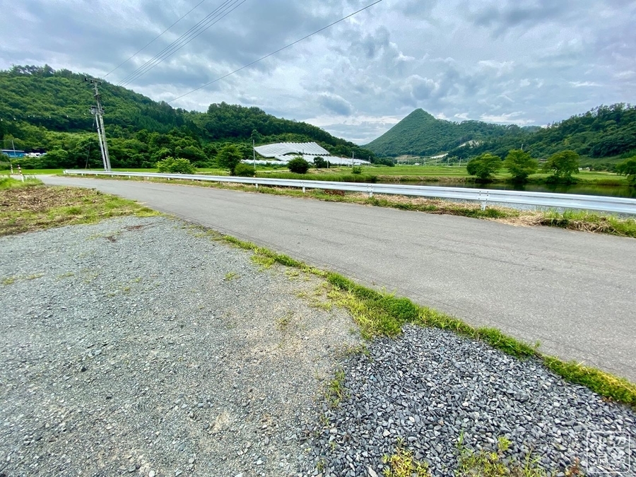 f:id:cippillo:20200726074157j:plain