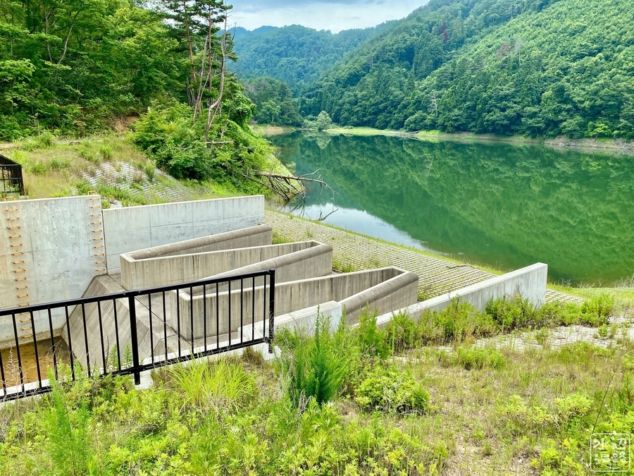 f:id:cippillo:20200726075558j:plain