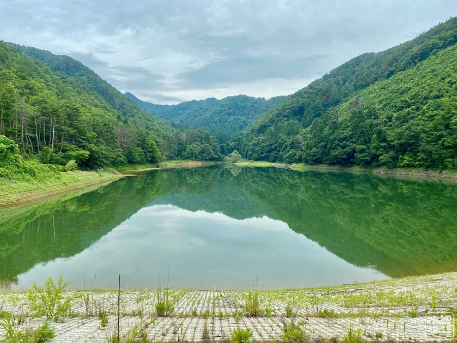 f:id:cippillo:20200726075608j:plain