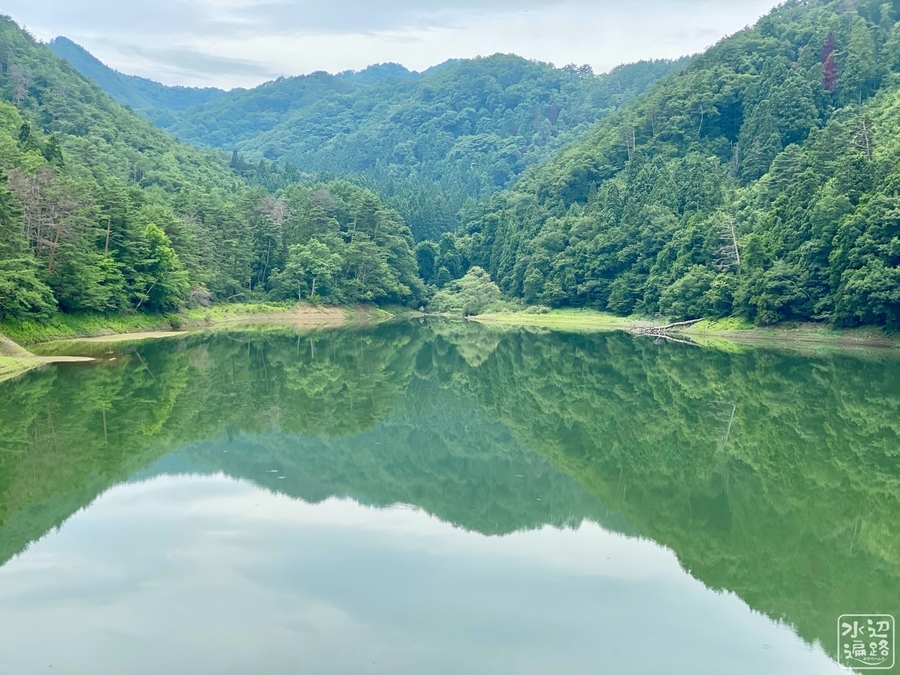 f:id:cippillo:20200726075634j:plain