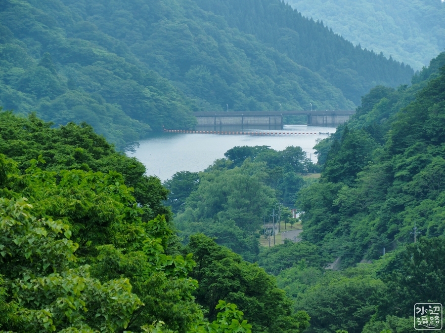 f:id:cippillo:20200728102155j:plain