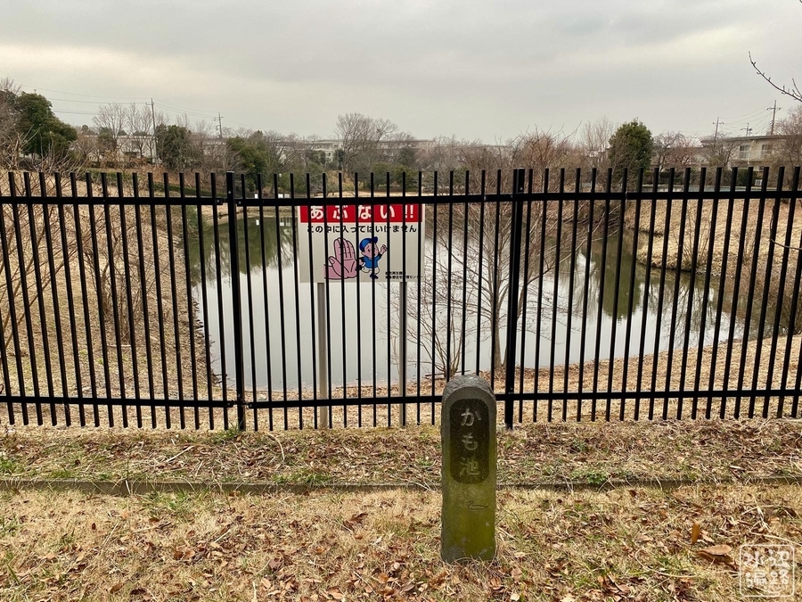 f:id:cippillo:20200730192758j:plain