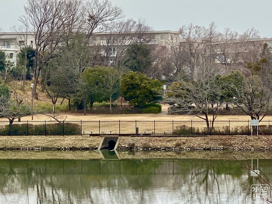 f:id:cippillo:20200730192822j:plain