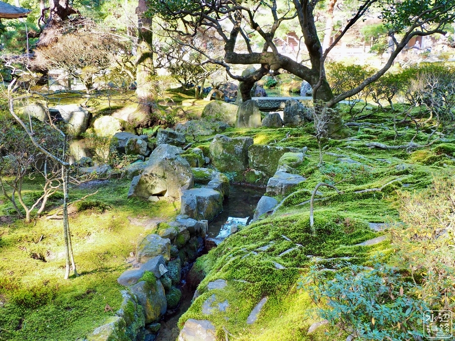 鏡池錦秋 戸隠・鏡池（秋）の写真素材 [92810138] - PIXTA