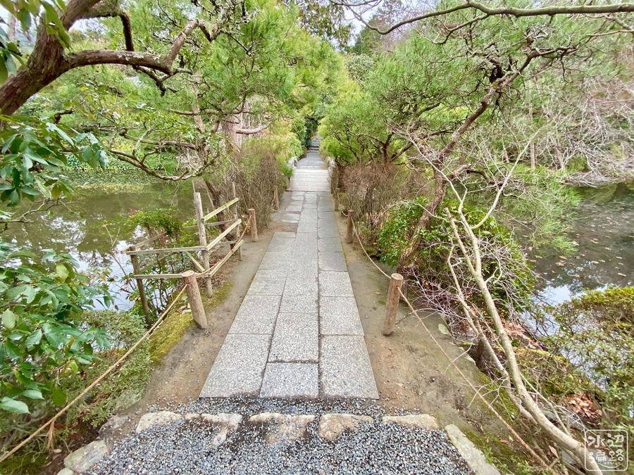 f:id:cippillo:20200817174915j:plain