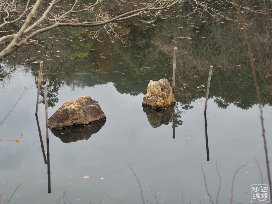 f:id:cippillo:20200817180542j:plain