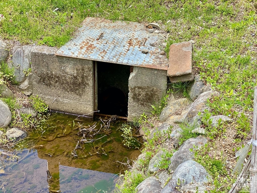 f:id:cippillo:20200818110431j:plain