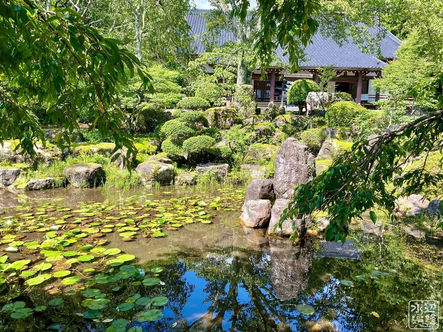 光前寺 大講堂の池 長野県駒ヶ根 水辺遍路
