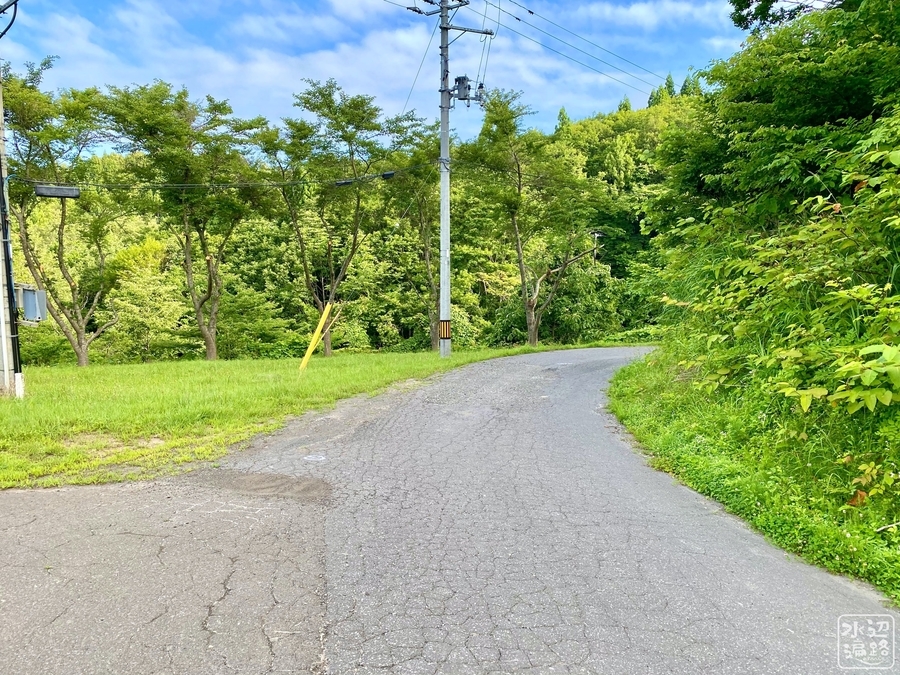 f:id:cippillo:20200826112544j:plain