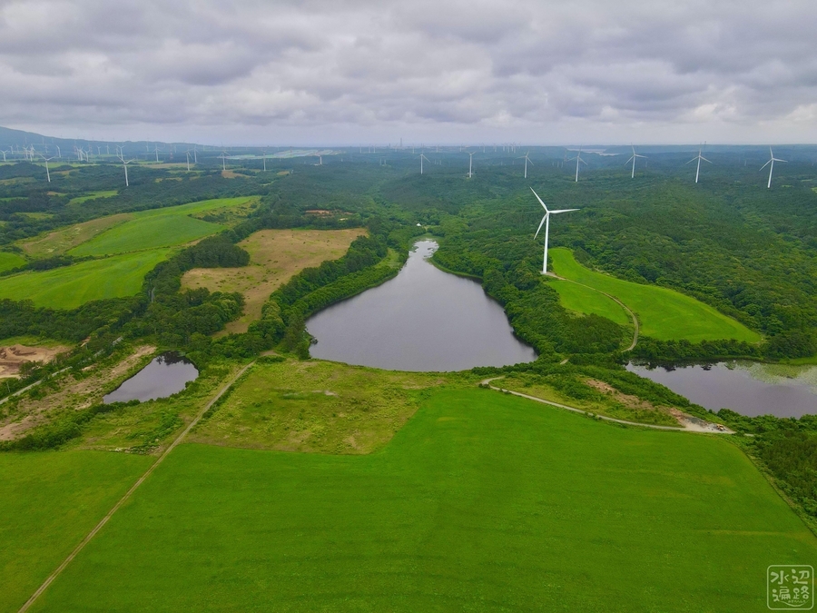 f:id:cippillo:20200826193445j:plain