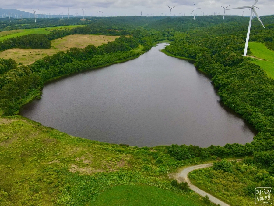 f:id:cippillo:20200826193530j:plain