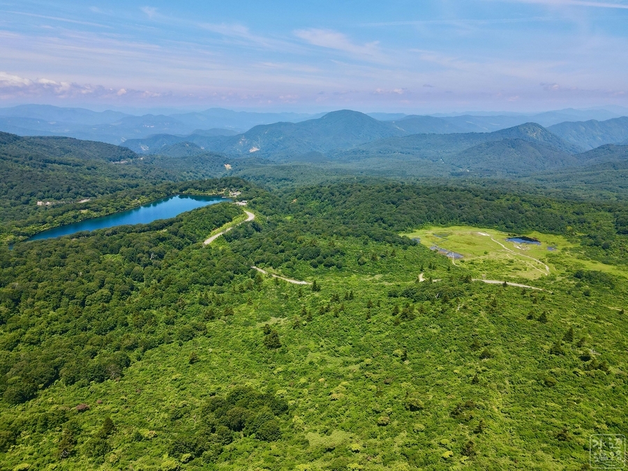 f:id:cippillo:20200901174814j:plain