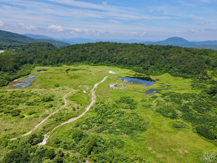 f:id:cippillo:20200901174827j:plain