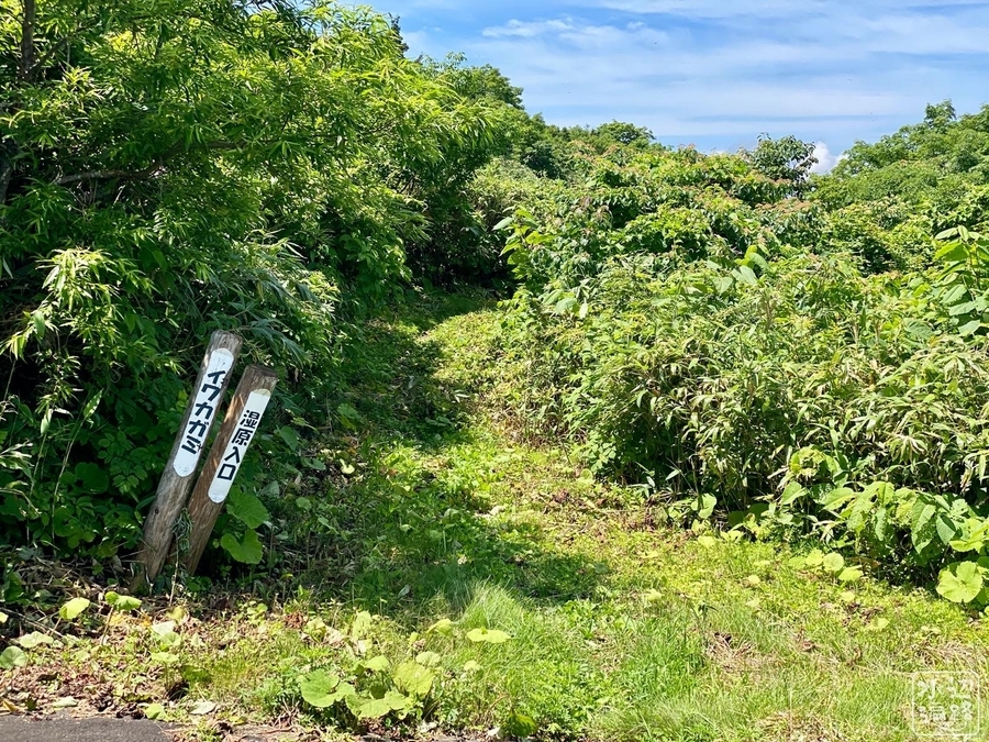 f:id:cippillo:20200901175827j:plain