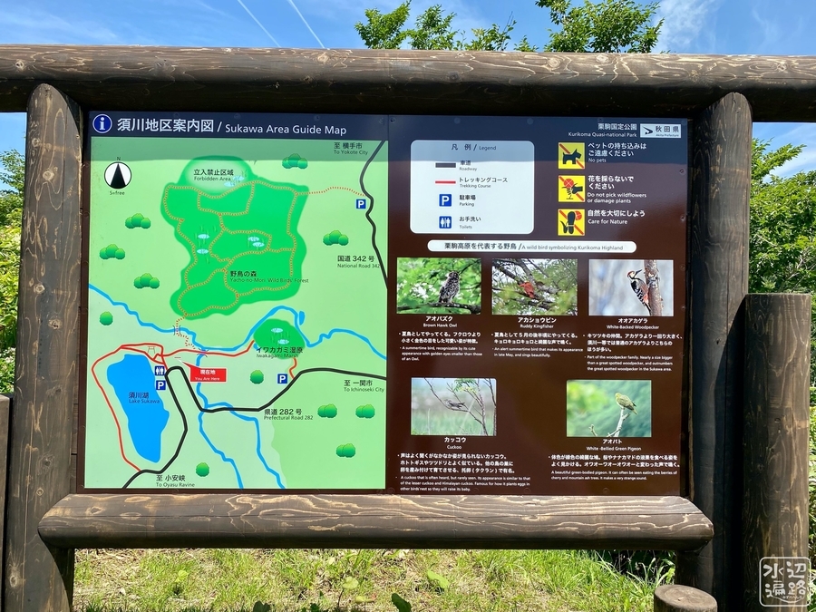 f:id:cippillo:20200901175834j:plain