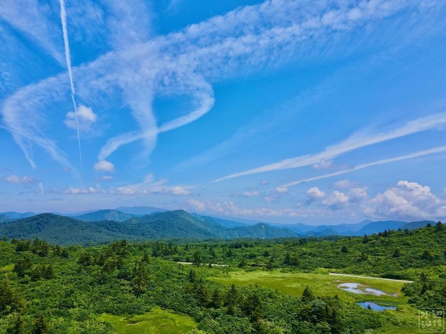 f:id:cippillo:20200901180316j:plain