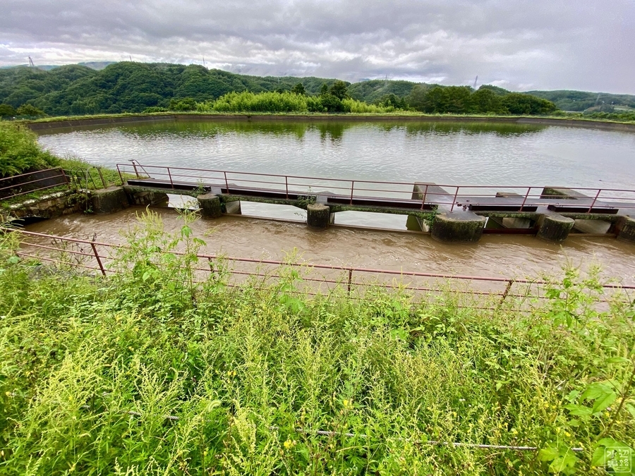 f:id:cippillo:20200908004706j:plain