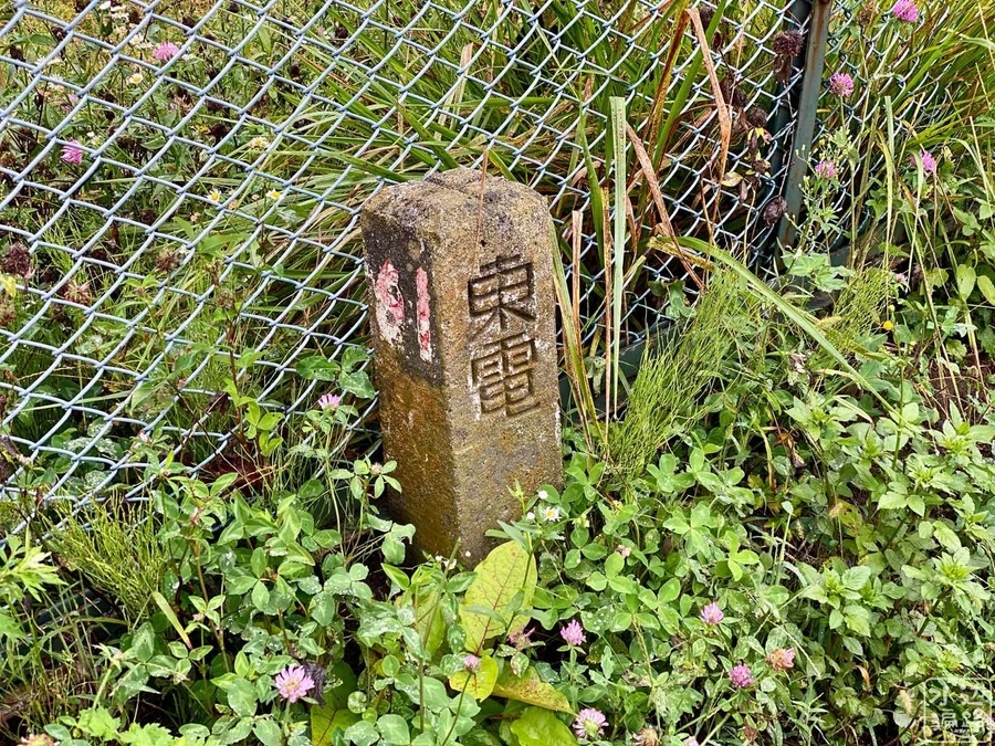 f:id:cippillo:20200908004727j:plain