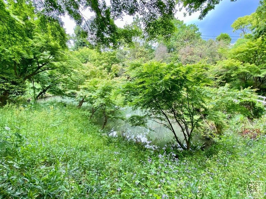 f:id:cippillo:20200913204407j:plain