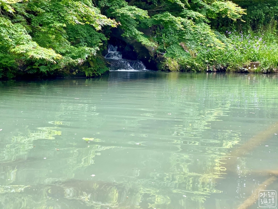 f:id:cippillo:20200913204430j:plain