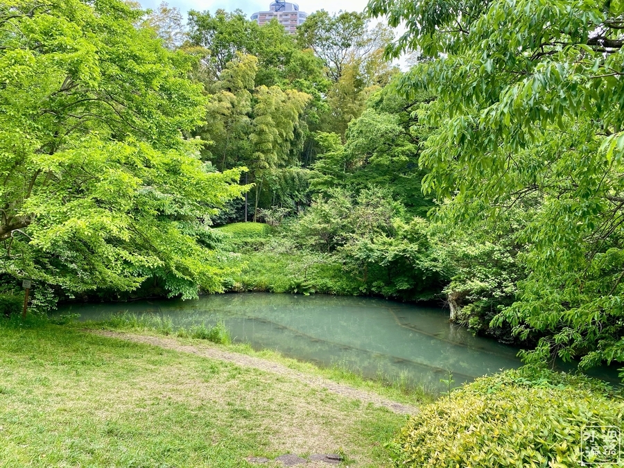 f:id:cippillo:20200913204446j:plain