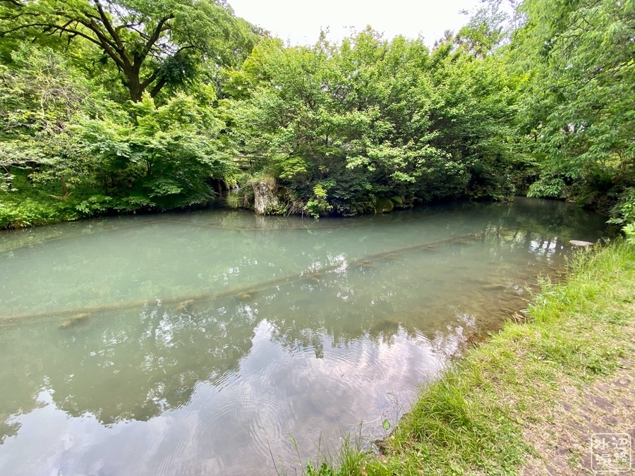 f:id:cippillo:20200913204505j:plain