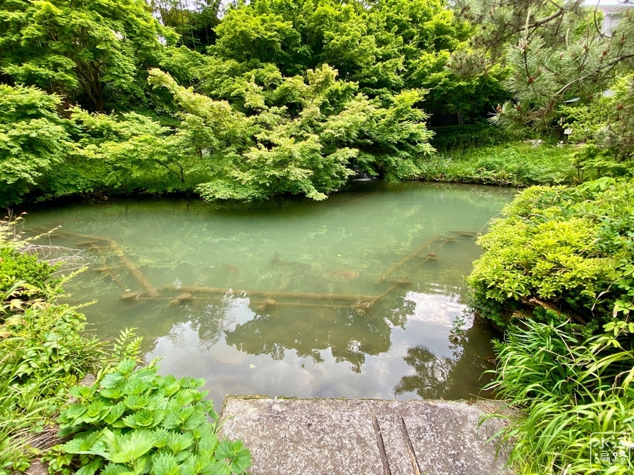 f:id:cippillo:20200913204517j:plain