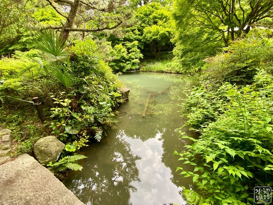 f:id:cippillo:20200913204528j:plain