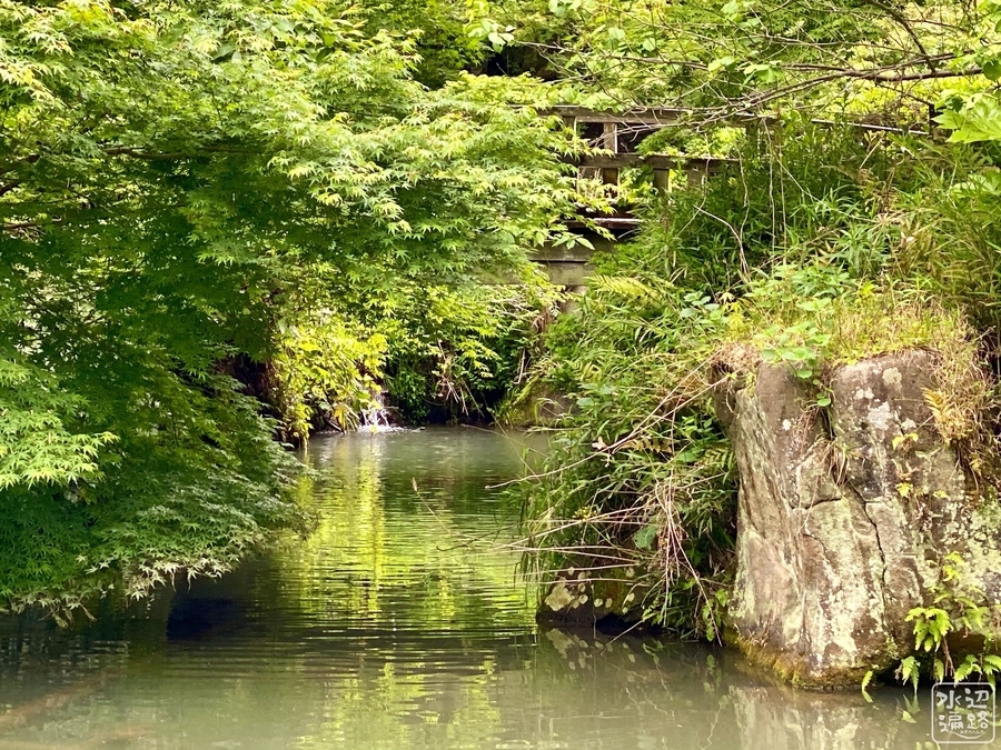 f:id:cippillo:20200913204556j:plain