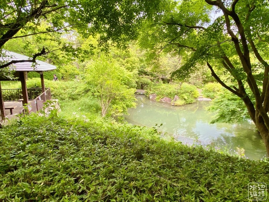 f:id:cippillo:20200913204612j:plain