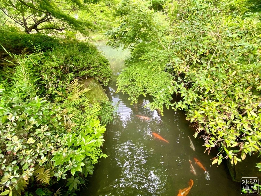 f:id:cippillo:20200913204619j:plain