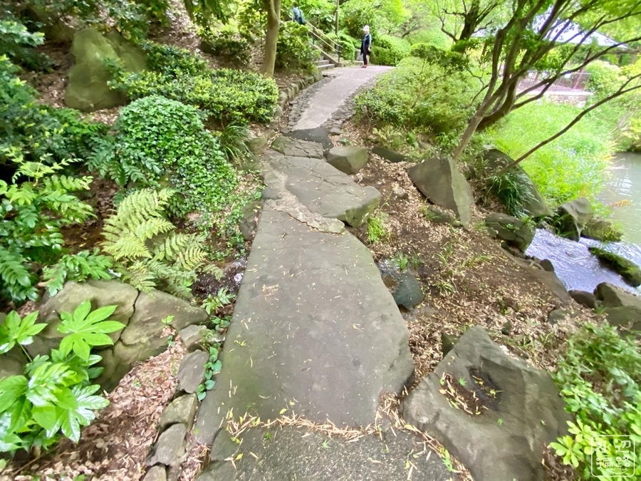 f:id:cippillo:20200913204633j:plain